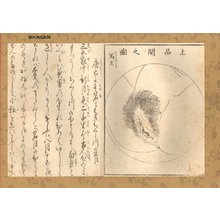 Katsukawa Shunsho: Woman's secret place - Asian Collection Internet Auction