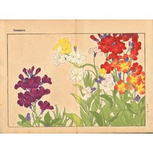 Tanagami, Konan: Wall Flower - Asian Collection Internet Auction