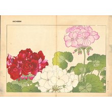 Tanagami, Konan: Gerinium - Asian Collection Internet Auction