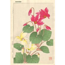 Kawarazaki, Shodo: Cycloment - Asian Collection Internet Auction
