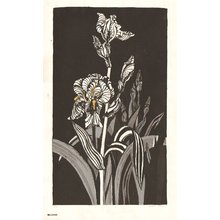 Moji, Kiyomi: Irises - Asian Collection Internet Auction