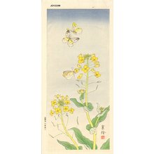 Jo: Butterflies and yellow flowers - Asian Collection Internet Auction