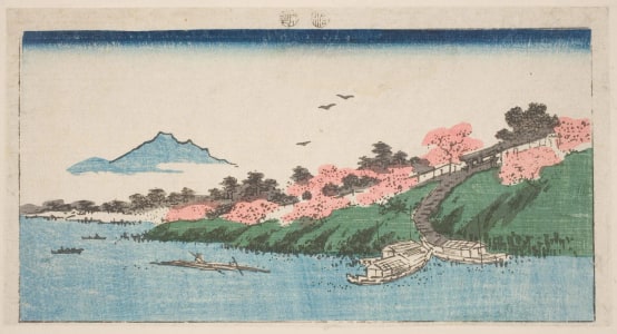 Japanese Print "Cherry Trees In Bloom On The Bank Of The Tonegawa" by Keisai Eisen, 渓斉英泉 (Keisai Eisen 渓斉 英泉)