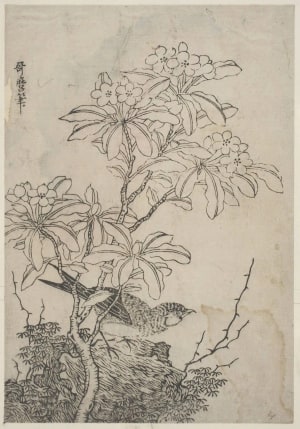 Japanese Print "A Shrub in Full Bloom and a Bird on a Rock Beneath It" by Kitagawa Utamaro, 喜多川歌麿 (Kitagawa Utamaro I 喜多川 歌麿)