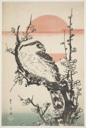 Japanese Print "Northern Goshawk In A Blooming Plum Tree (Umehana Ni O-Taka)" by Utagawa Toyohiro, 歌川豊広 (Utagawa Toyohiro 歌川 豊広)