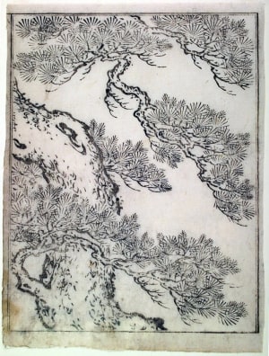 Japanese Print "A Pine Tree-frontispiece illustration from volume I (sheet 3) of the book Ehon Tokiwa-gusa (Picture Book of Evergreens)" by Nishikawa Sukenobu, 西川祐信 (Nishikawa Sukenobu)