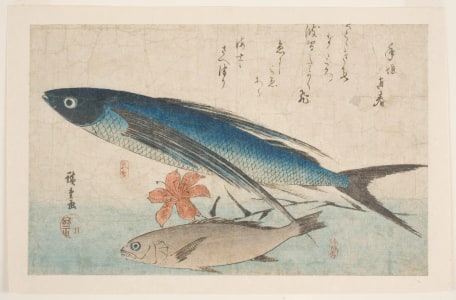 Estampe japonaise "Flying Fish, White Croaker, and Lily" par Utagawa Hiroshige, 歌川広重 (Utagawa Hiroshige I 歌川 広重)