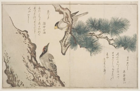 Japanese Print "Japanese Grosbeak (ikaru) and Woodpecker (kitsutsuki)" by Kitagawa Utamaro, 喜多川歌麿 (Kitagawa Utamaro I 喜多川 歌麿)
