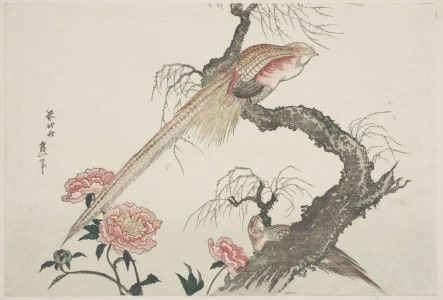 Japanese Print "Peonies and Two Golden Pheasants Perched Upon a Willow Tree Trunk" by Unknown, 無款