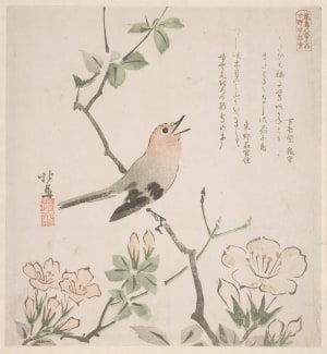 Japanese Print "A Bird Singing While Perched Upon A Branch Of A Shrub" by Teisai Hokuba, 蹄斎北馬 (Teisai Hokuba)