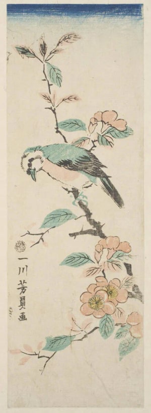 Japanese Print "Unidentified White-Headed Bird On A Peach Tree Branch" by Utagawa Yoshikazu, 歌川芳員 (Utagawa Yoshikazu)