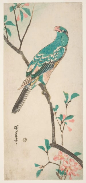 Japanese Print "Parrot on a Flowering Branch" by Utagawa Hiroshige, 歌川広重 (Utagawa Hiroshige I 歌川 広重)