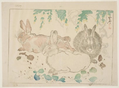 Japanese Print "Three Hares, A Plant With Purple Fruit, And A Tree With Yellow Flowers" by Kawanabe Kyosai, 河鍋暁斎 (Kawanabe Kyosai)
