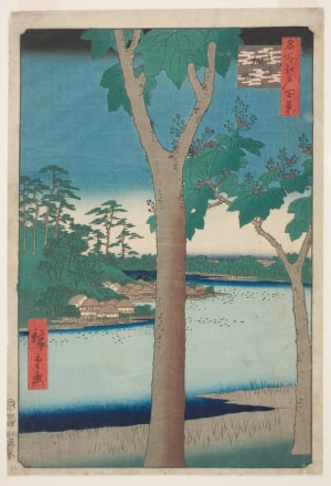 Japanese Print "The Paulownia Grove at Akasaka (Akasaka Kiribatake)" by Utagawa Hiroshige, 歌川広重 (Utagawa Hiroshige I 歌川 広重)
