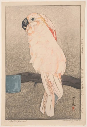 Japanese Print "Salmon-Crested Cockatoo (Obatan omu)" by Yoshida Hiroshi, 吉田博 (Hiroshi Yoshida)