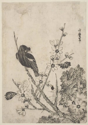 Japanese Print "A Black Bird On A Branch Of A Tree In Full Flower" by Unknown, 無款