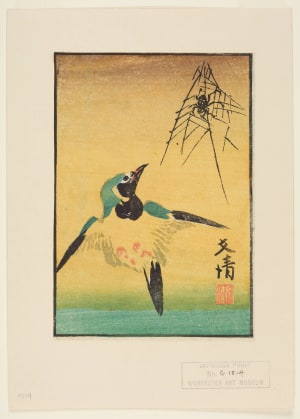 Japanese Print "A Spider in its Web and a Java Sparrow (Buncho) in Flight" by Tanaka Bunsei