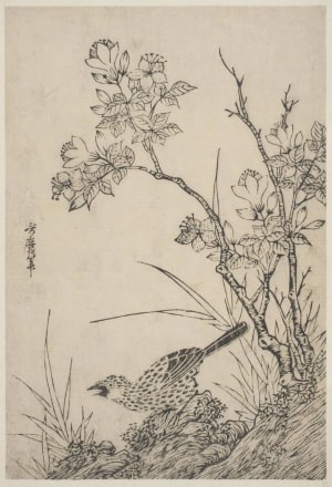 Japanese Print "A Flowering Shrub, Grasses And A Bird On A Hillside" by Unknown, 無款