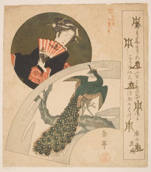 Japanese Print "On a Fan Paper a Picture of a Peacock Perched on the Bent-Over Trunk of a Tree" by Yashima Gakutei, 屋島岳亭 (Gakutei, Yashima)