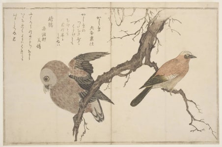 Japanese Print "Jay and Ural Owl" by Kitagawa Utamaro, 喜多川歌麿 (Kitagawa Utamaro I 喜多川 歌麿)
