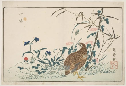 Japanese Print "Morning Glories, Bamboo, Flat Bell, Wild Strawberry and a Quail" by Kitao Masayoshi, 北尾政美 (Kitao MASAYOSHI)