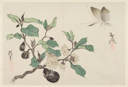 Japanese Print "Eggplant and Butterfly (Nasubi ni chocho)" by Tani Buncho, 谷文晁 (Buncho Tani, Onishi Chinnen)