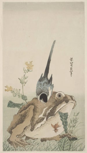 Japanese Print "A Bird With A Black Head And Blue-Gray Plumage Standing On The Back Of A Huge Toad" by Unknown, 無款