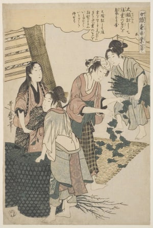 Japanese Print "Women Feeding the Silkworms with Whole Mulberry Leaves" by Kitagawa Utamaro, 喜多川歌麿 (Kitagawa Utamaro I 喜多川 歌麿)
