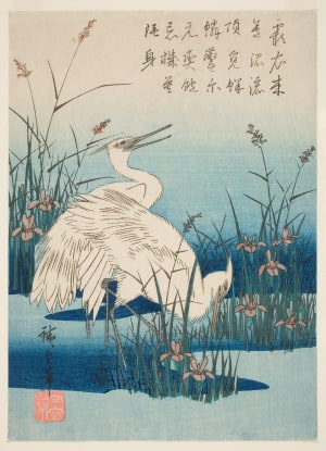 Japanese Print "Two Little Egrets Amidst Reeds and Blue-Flag Irises (Hanashobu ni kosagi)" by Utagawa Hiroshige, 歌川広重 (Utagawa Hiroshige I 歌川 広重)