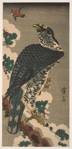 Japanese Print "Northern Goshawk in a Snow-Covered Pine Tree Looking at a Tree Sparrow" by Keisai Eisen, 渓斉英泉 (Keisai Eisen 渓斉 英泉)