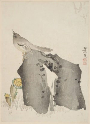 Japanese Print "Japanese Bush-Warbler (uguisu) Perched on a Rock" by Matsumura Keibun, 松村景文 (Matsumura Keibun)
