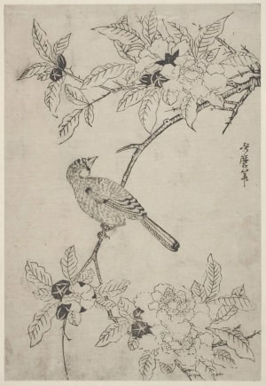 Japanese Print "A Bird Clinging To A Drooping Branch Of A Tree" by Kitagawa Utamaro, 喜多川歌麿 (Kitagawa Utamaro I 喜多川 歌麿)