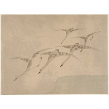 Japanese Print "Wild Gesse Flying Down" by Nakamura Hochu, 中村芳中 (Nakamura Hochu)