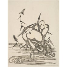Japanese Print "Sagi Ni Kusa" by Utagawa Toyohiro, 歌川豊広 (Utagawa Toyohiro 歌川 豊広)