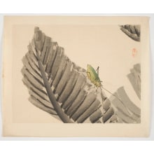 Japanese Print "Cricket (korogi) on a Banana Leaf" by Kono Bairei, 幸野楳嶺 (Kono, Bairei)