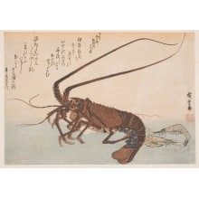 Japanese Print "Spiny Lobster and Shrimp" by Utagawa Hiroshige, 歌川広重 (Utagawa Hiroshige I 歌川 広重)