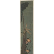 Japanese Print "Arum Leaves, Asters and a Dragonfly" by Unknown, 無款
