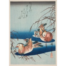 Japanese Print "Two Pairs of Mandarin Ducks" by Utagawa Hiroshige, 歌川広重 (Utagawa Hiroshige I 歌川 広重)