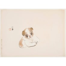 Japanese Print "Puppy" by Takeuchi Seiho