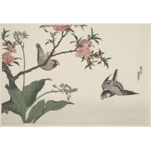 Japanese Print "Two Oriental Bullfinches" by Unknown, 無款