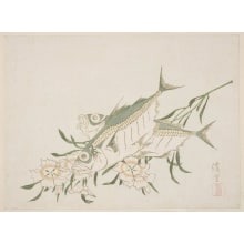 Japanese Print "Nadeshiko Pinks and Two Mackerel" by Keiri