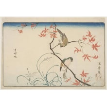 Japanese Print "Finches Upon a Maple Tree with Pink Autumn Foliage" by Kitao Masayoshi, 北尾政美 (Kitao MASAYOSHI)