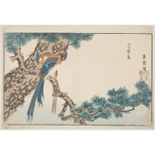 Japanese Print "Jutai Birds" by Kitao Masayoshi, 北尾政美 (Kitao MASAYOSHI)