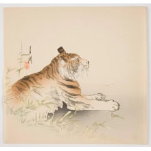 Japanese Print "Tiger and Bamboo" by Ogata Gekko, 尾形月耕 (Ogata Gekko)