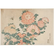 Japanese Print "Three Young Women Of O Tsuru-Ya" by Katsukawa Shunsho, 勝川春章 (Katsukawa Shunshō 勝川 春章, Kitao Shigemasa 北尾 重政)