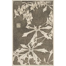 Jakuchu, 伊藤若冲 (Jakuchu Ito)创作的日本版画《Flowers And Foliage Of An Unidentified Plant》