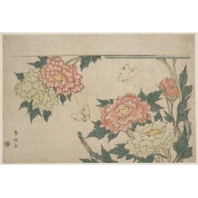 Japanese Print "Peonies" by Katsukawa Shunsen, 勝川春扇 (Katsukawa Shunsen 勝川 春扇)