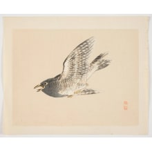Kono Bairei, 幸野楳嶺 (Bairei Kono)创作的日本版画《Flying Cuckoo Bird》