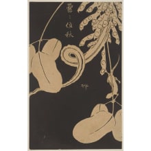 Jakuchu, 伊藤若冲 (Ito, Jakuchu)创作的日本版画《A Soy Bean Vine With Leaves And Fruit》