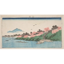 Keisai Eisen, 渓斉英泉 (Keisai Eisen 渓斉 英泉)创作的日本版画《Cherry Trees In Bloom On The Bank Of The Tonegawa》